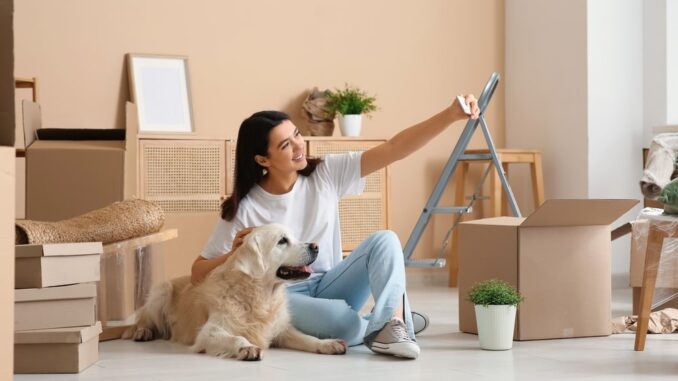 mudanzas estudiantes murcia mudanzas estudiantes murcia